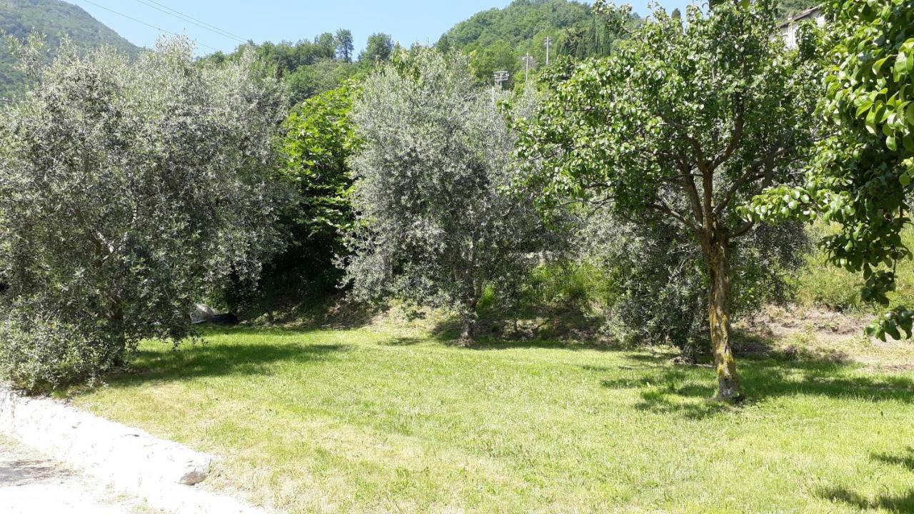 Casa Gina Garden And View By Gardadomusmea Villa Tremosine Exteriör bild